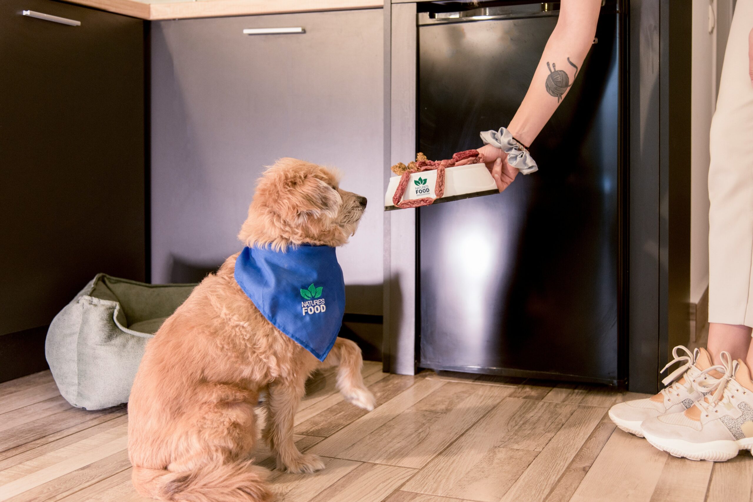 A close-up photo of a treat-filled interactive feeding toy being played with by a dog
