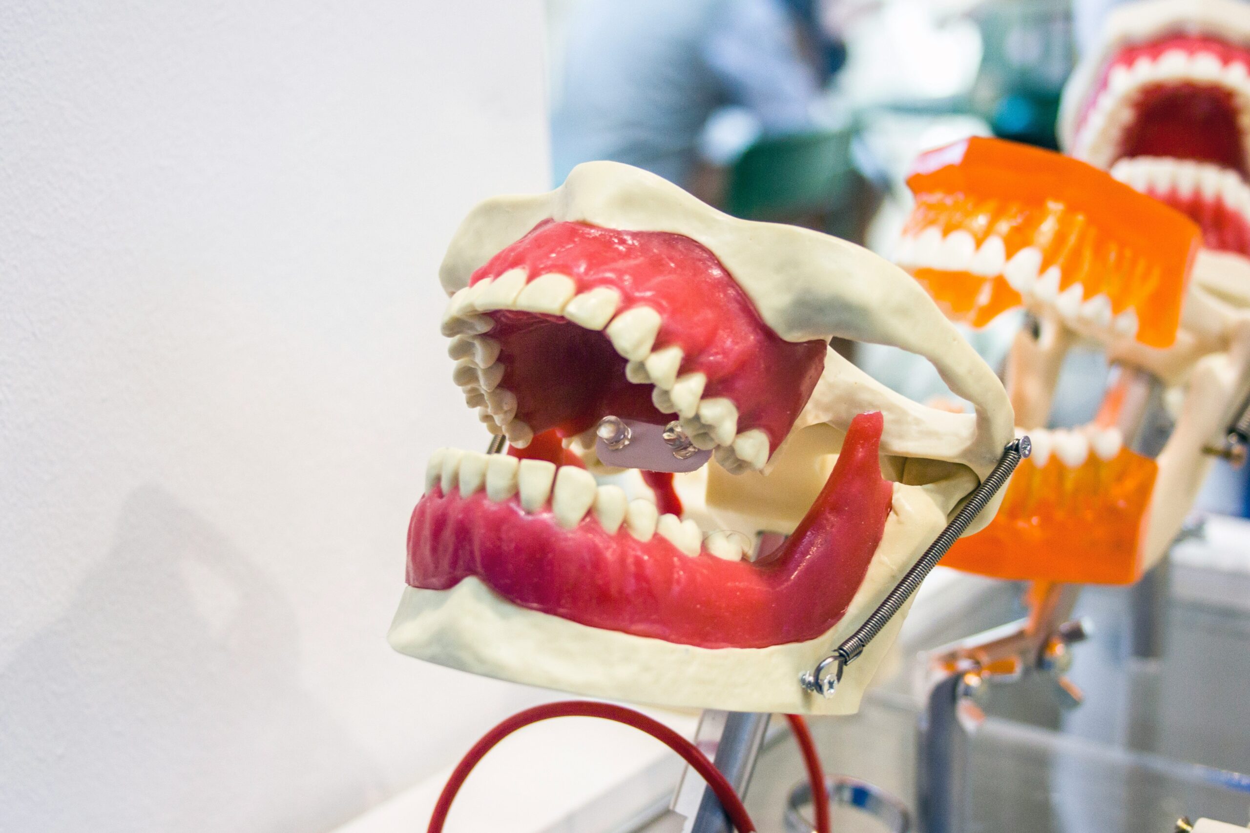 Bite-Resistant Dental Toys: The Ultimate Guide to Protecting Your Pet's Teeth (And Your Wallet)