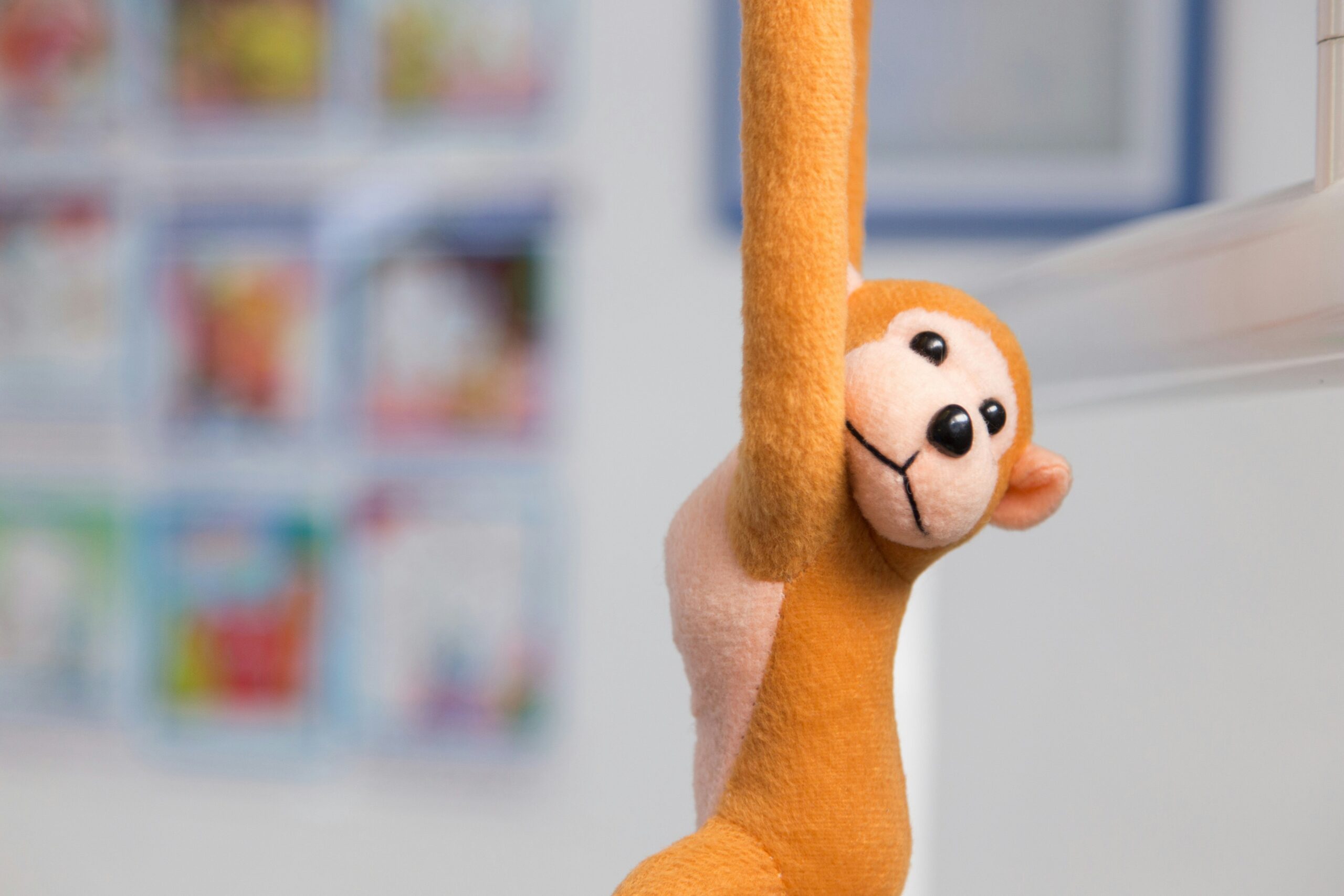 Childproof Design Elements: Why Your Pet's Dental Toys Need Them