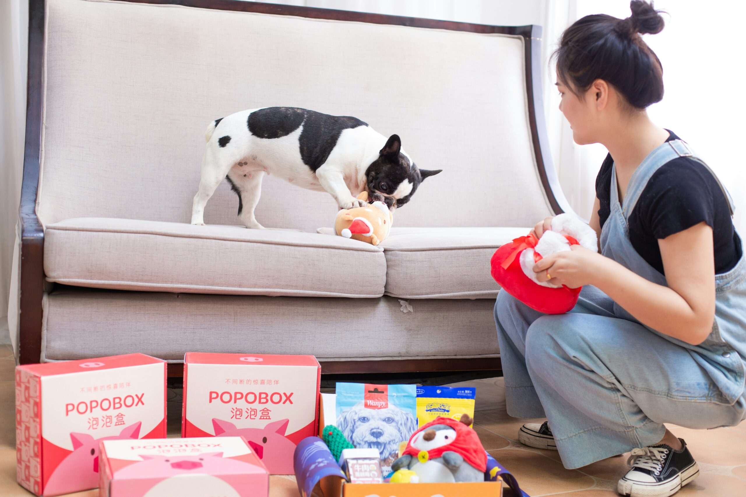 Social Play Enhancements: Unlocking the Power of Pet Dental Toys
