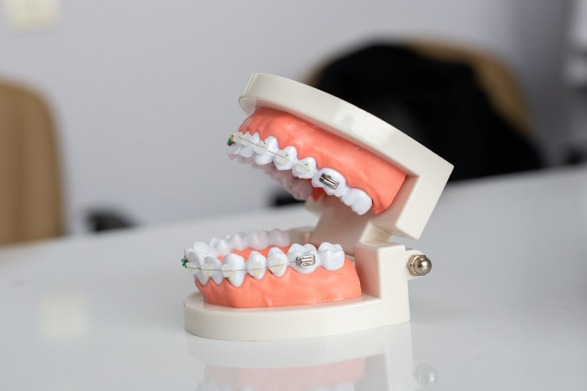 Why Your Dog’s Smile Deserves a Plaque Removal Toy: The Ultimate Guide