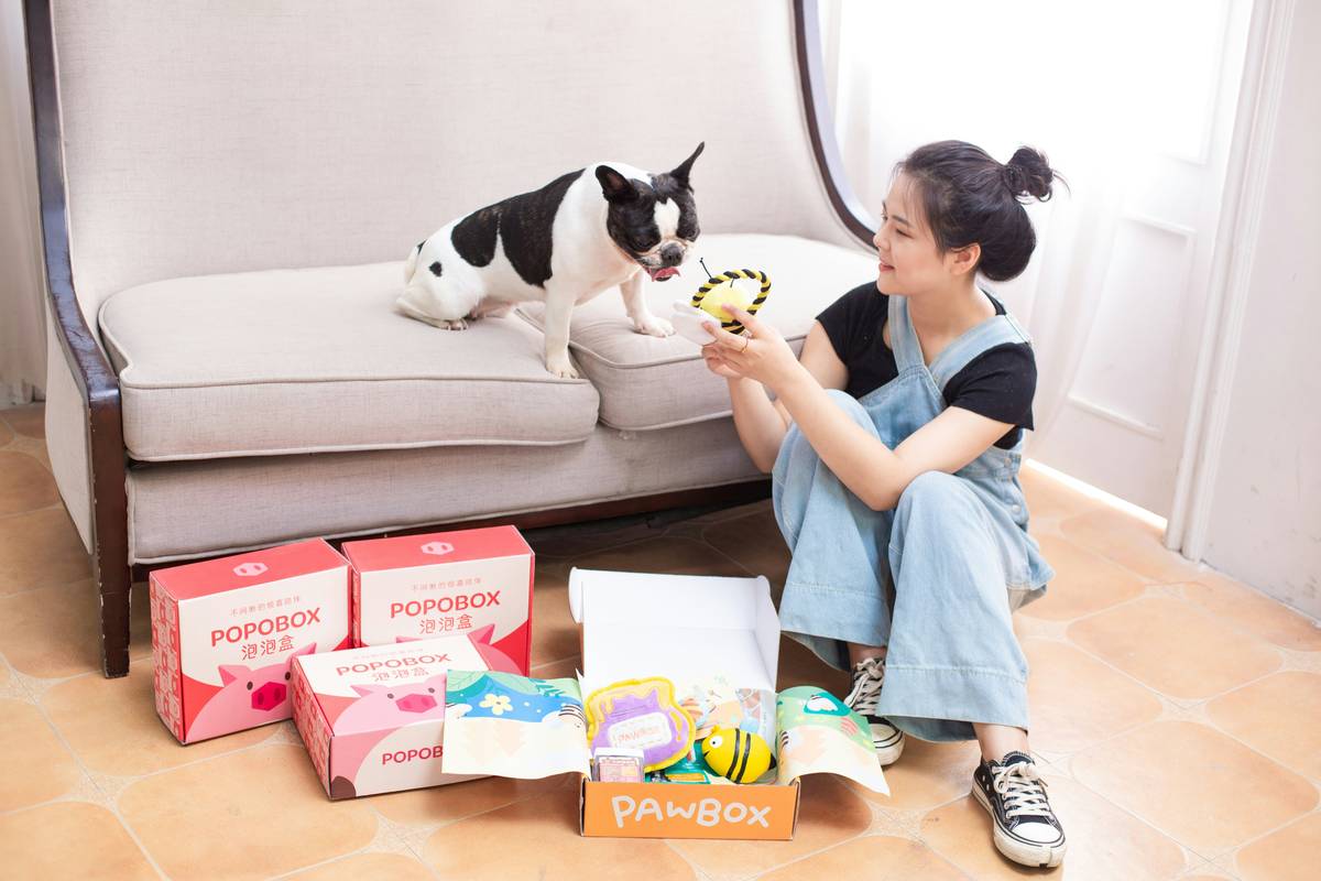 An image showing broken pieces of a non-compliant dental toy on the floor next to a dog.