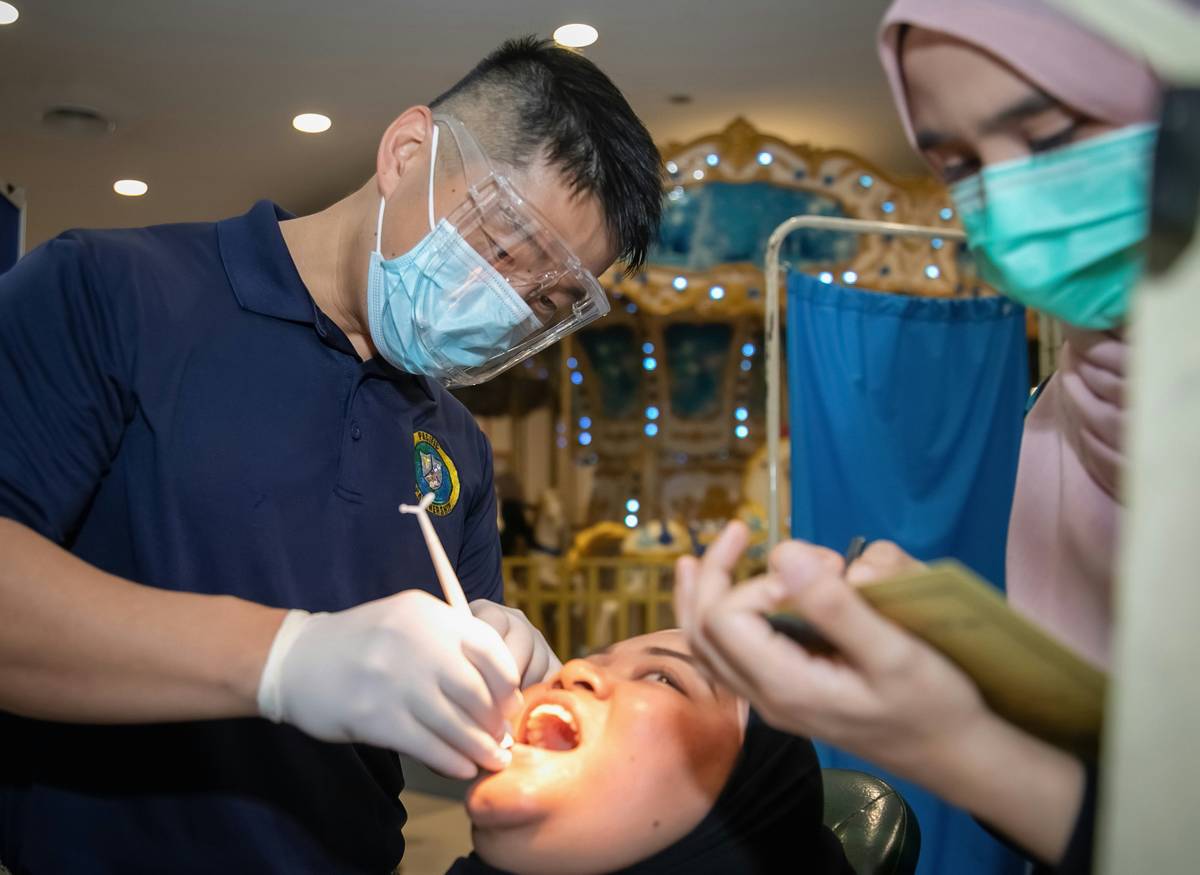 The Ultimate Guide to Pet Plaque Remover: Why Dental Toys Are a Game-Changer